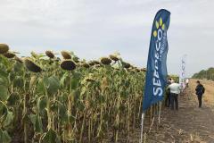 Компания SEEDECO semences